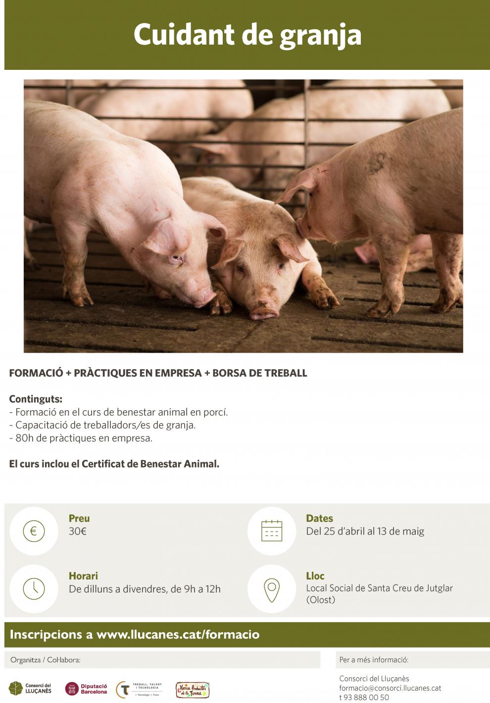 Curs de Cuidant de Granja